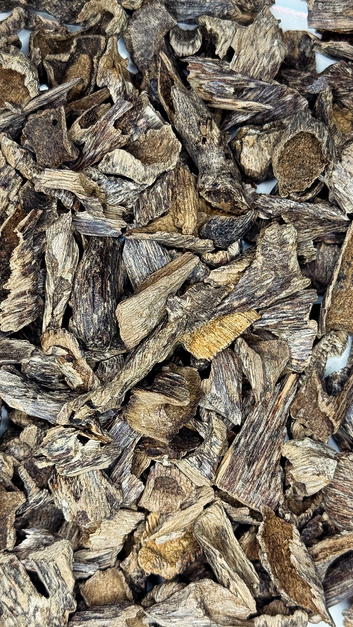 ميني فيزا موري الجواهر