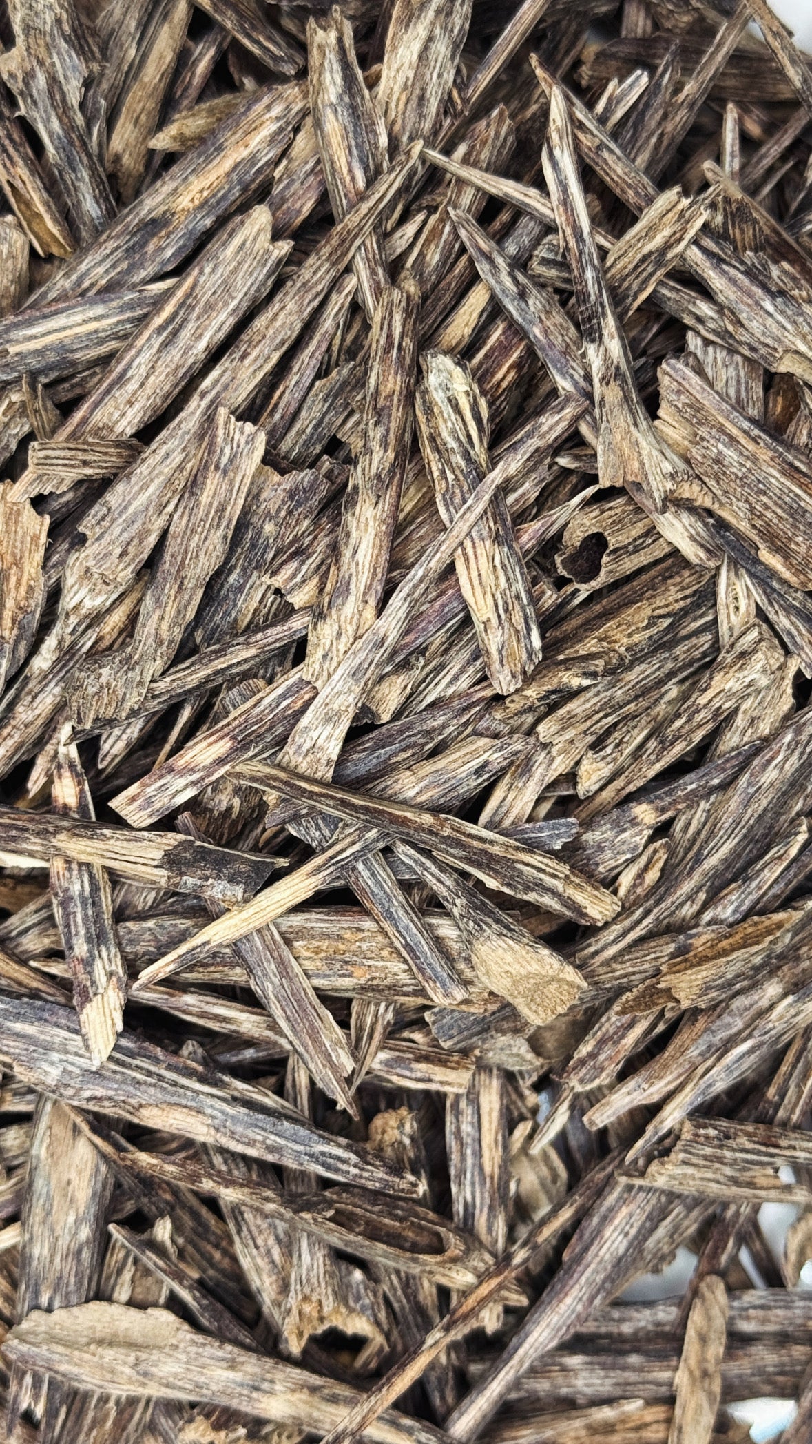 L'Essentiel بيبي سيوفي