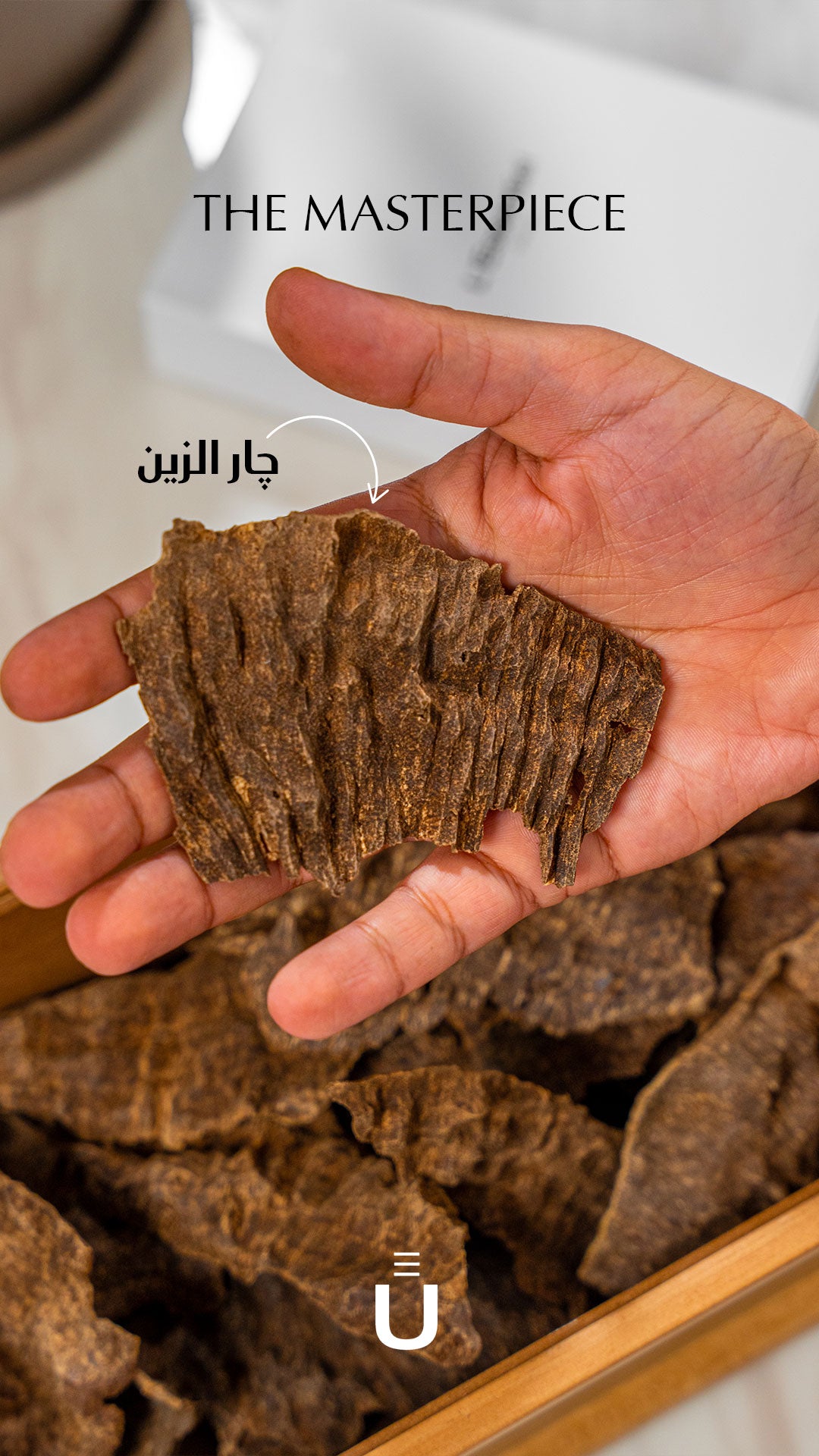 چار الزين