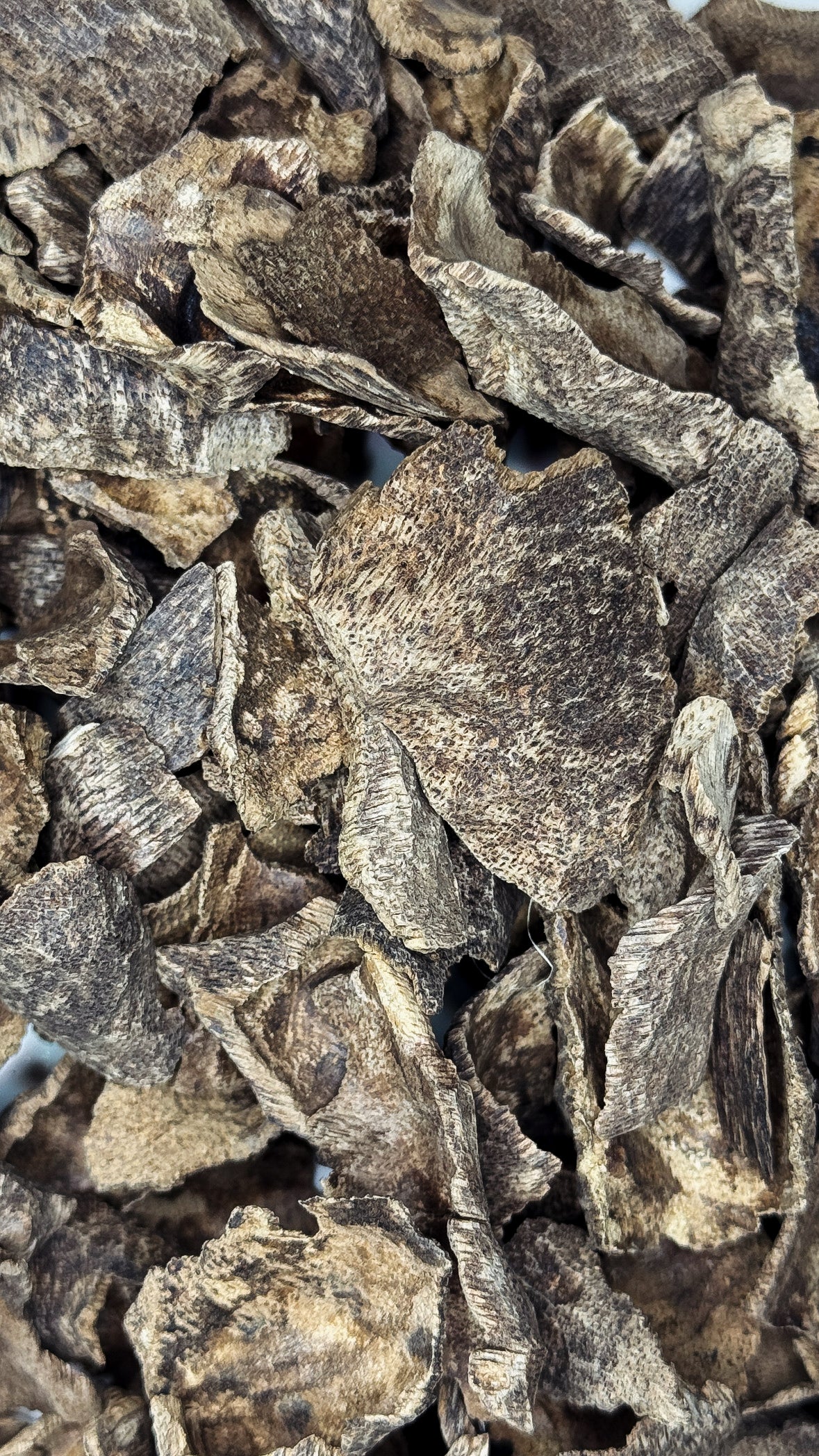 VIP الزوايا الهندية