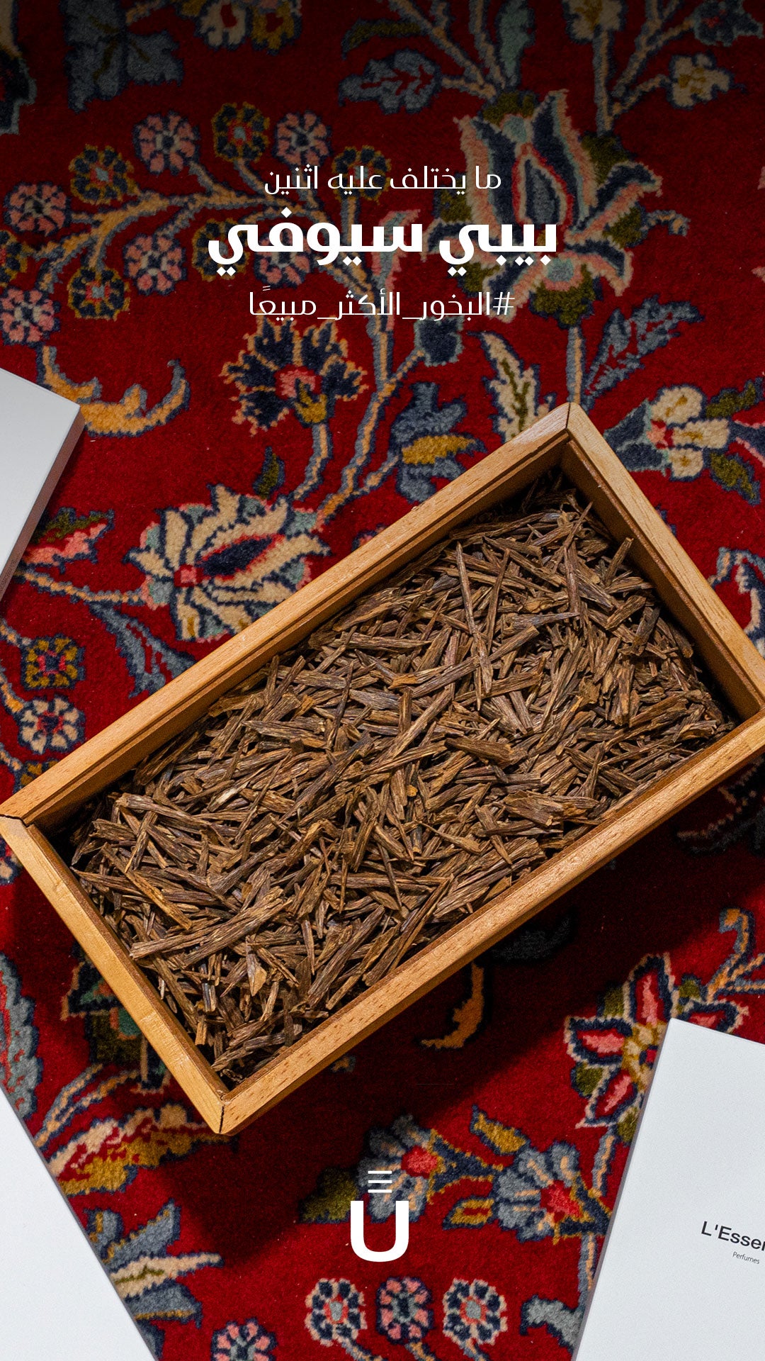L'Essentiel بيبي سيوفي